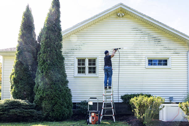 Best Roof Pressure Washing  in Harrisburg, IL